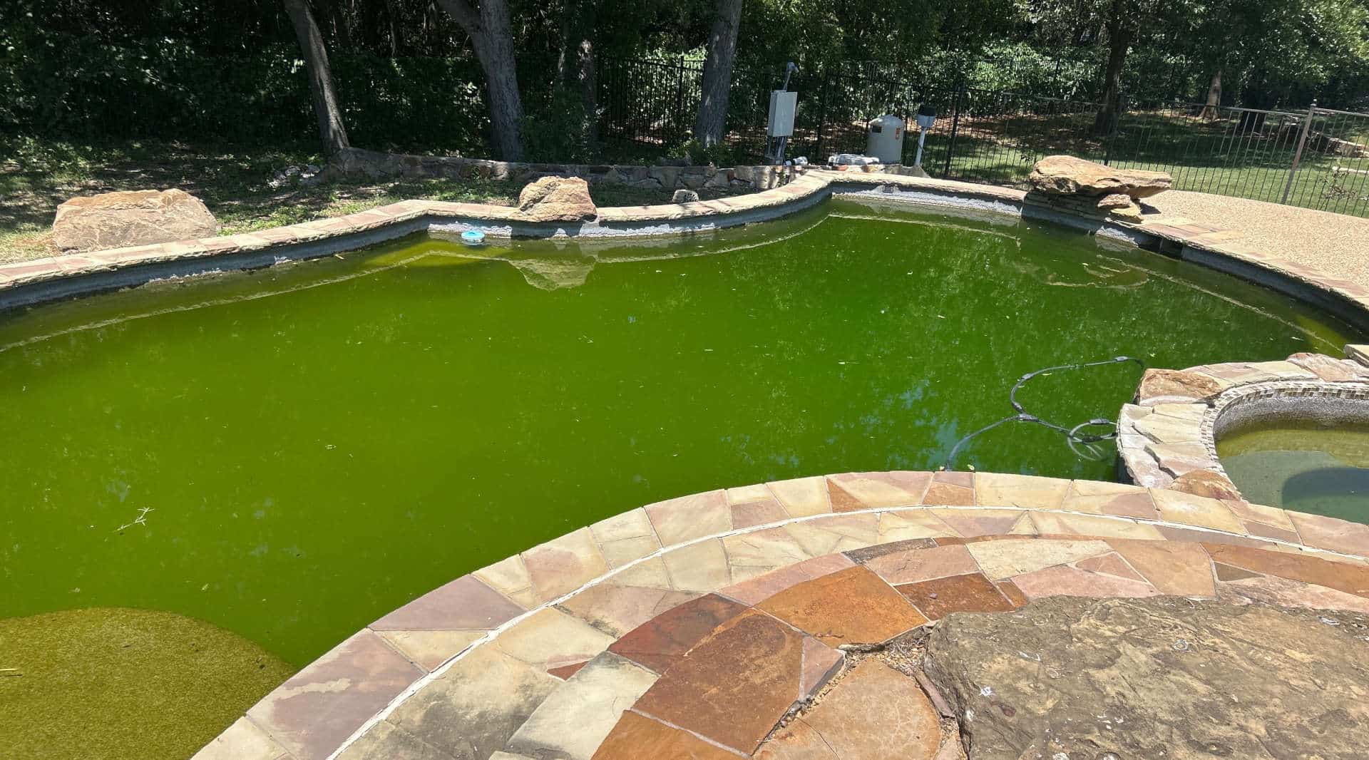 Full Green Pool 1