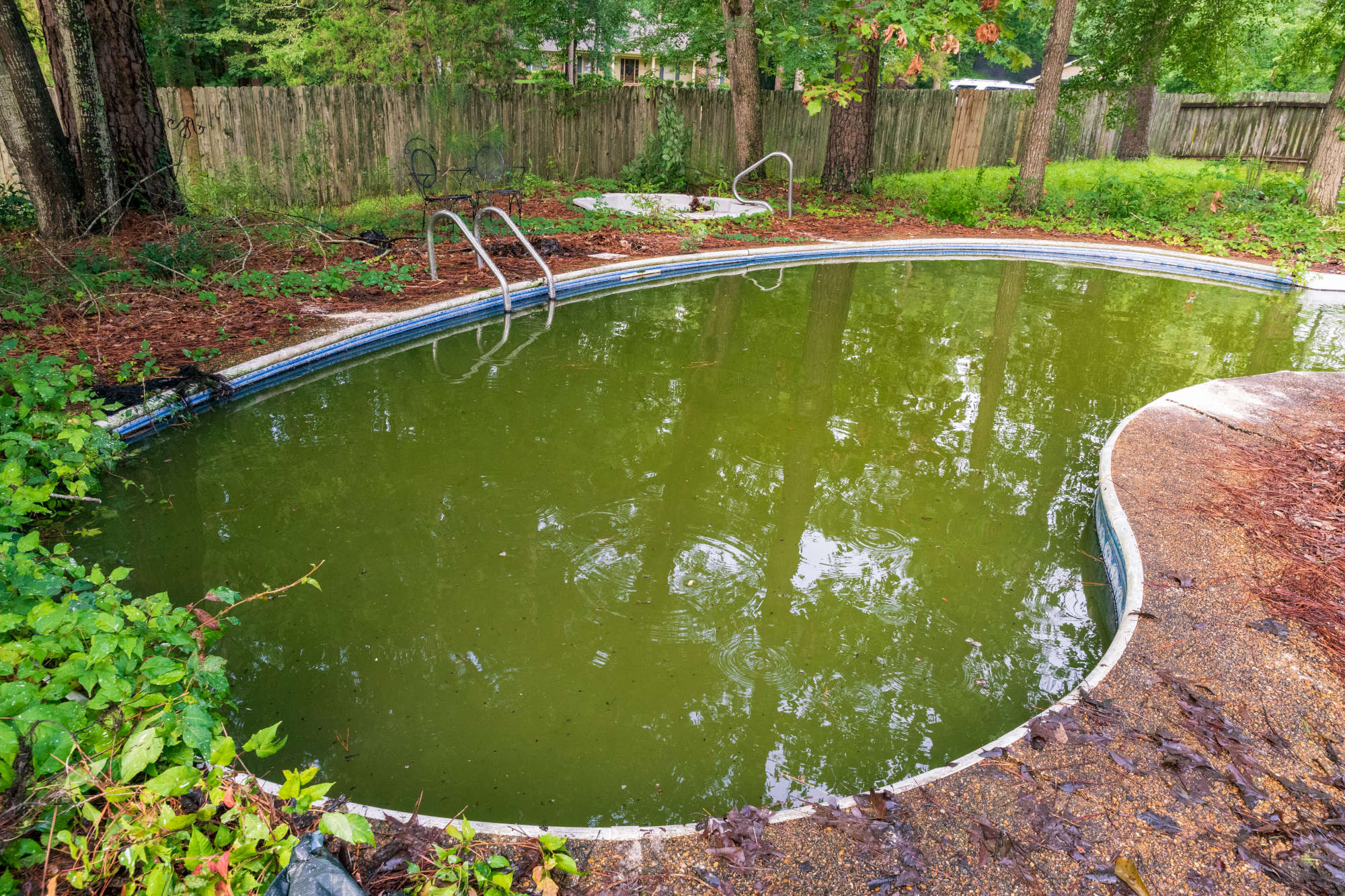 Green pool that needs cleaning