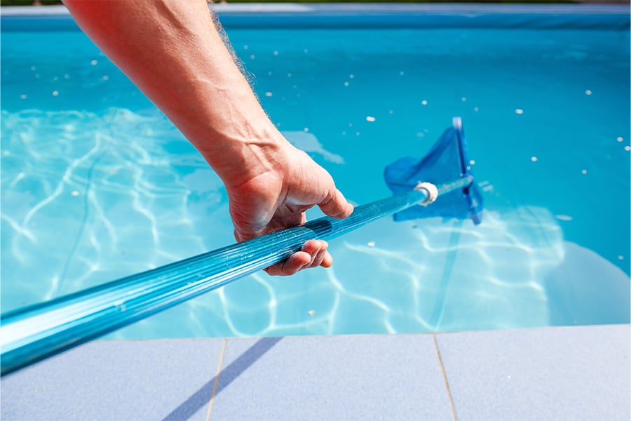 male hand holds pool net cleaner (Small)